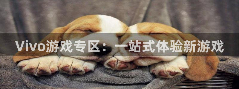 杏盛注册平台官方网站：Vivo游戏专区：一站式体验新游戏