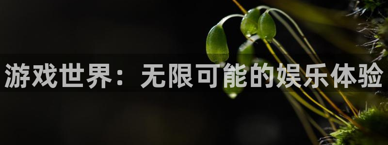 杏盛平台代理
