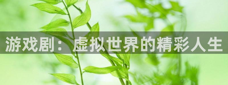 杏盛：游戏剧：虚拟世界的精彩人生