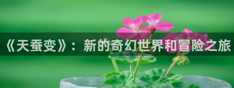 杏盛：《天蚕变》：新的奇幻世界和冒险之旅