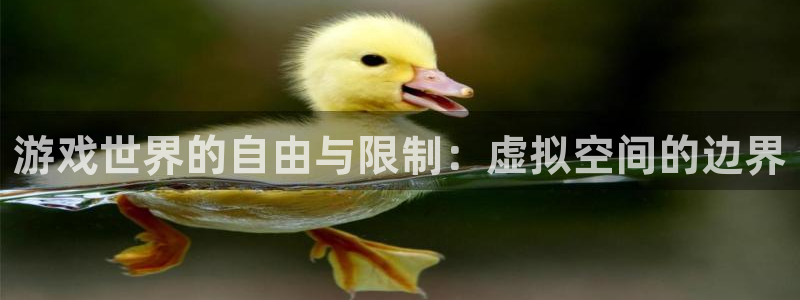 杏盛开户地址：游戏世界的自由与限制：虚拟空间的边界