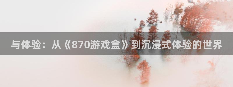 杏盛平台测速：与体验：从《870游戏盒》到沉浸式体验的世界