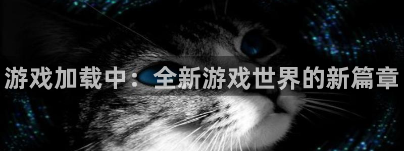 杏盛主管是谁：游戏加载中：全新游戏世界的新篇章