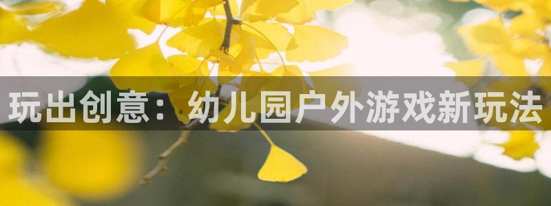 杏盛平台服务：玩出创意：幼儿园户外游戏新玩法