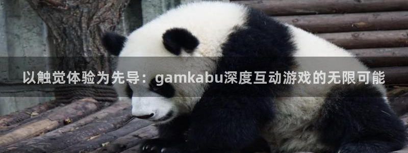 杏盛