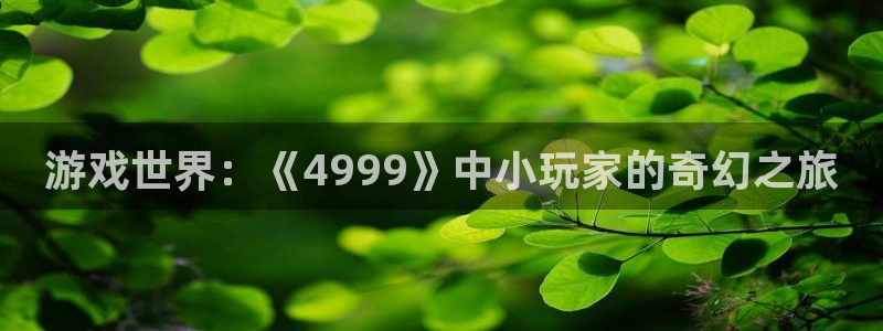 杏盛平台官网注册登录：游戏世界：《4999》中小玩家的奇幻之