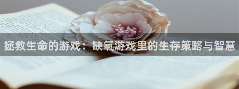 杏盛登录地址：拯救生命的游戏：缺氧游戏里的生存策略与智慧