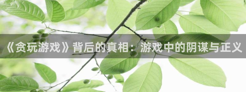 杏盛注册：《贪玩游戏》背后的真相：游戏中的阴谋与正义