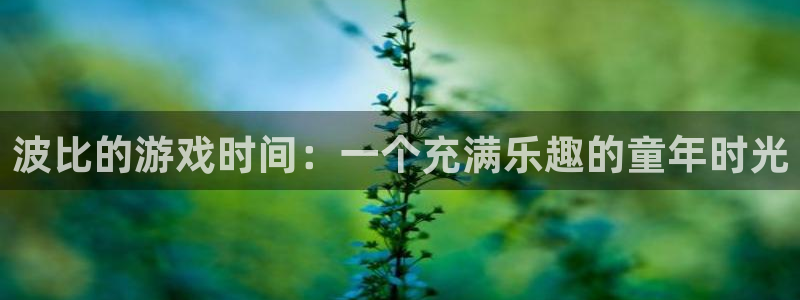 杏盛：波比的游戏时间：一个充满乐趣的童年时光