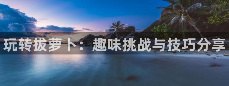 杏盛娱乐平台注册登录